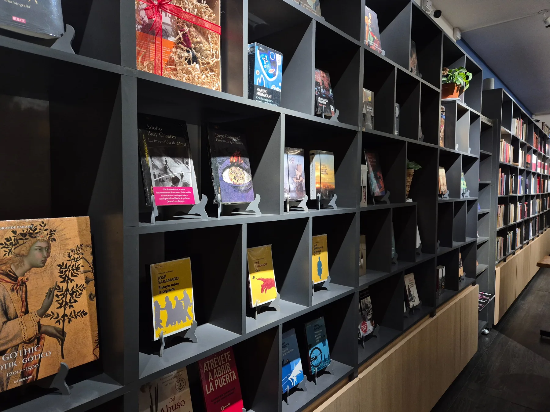 Libros exhibidos de frente en Dipinsait